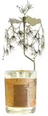 Gavepakke - Duftlys med Karusell Succulent Pear